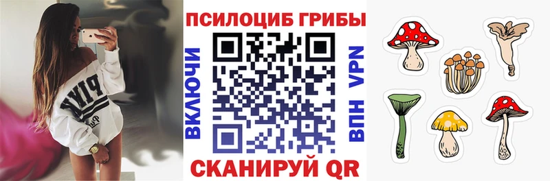где купить   Мичуринск  Галлюциногенные грибы MAGIC MUSHROOMS 