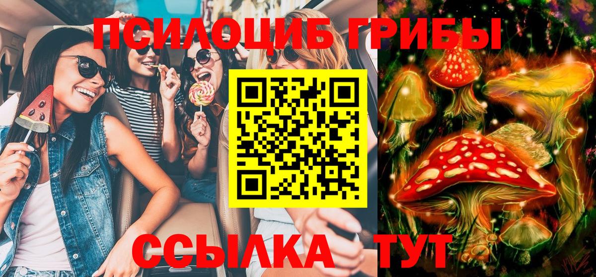 Галлюциногенные грибы Psilocybe Мичуринск