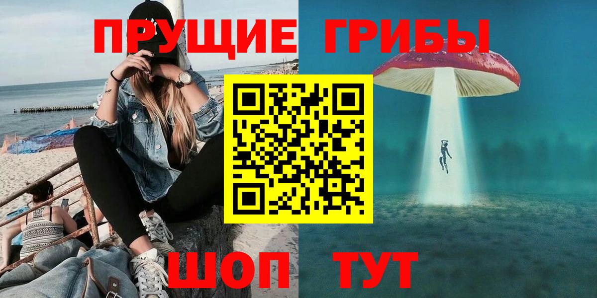 Галлюциногенные грибы Psilocybe Мичуринск