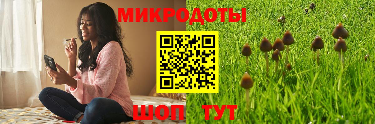 Галлюциногенные грибы Psilocybine cubensis  Псилоцибиновые грибы Magic Shrooms  Мичуринск  хочу наркоту  Вход с VPN 