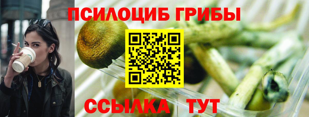 Галлюциногенные грибы Magic Shrooms  Мичуринск 