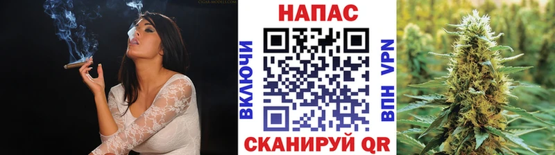 где найти наркотики  Мичуринск  Конопля сатива 
